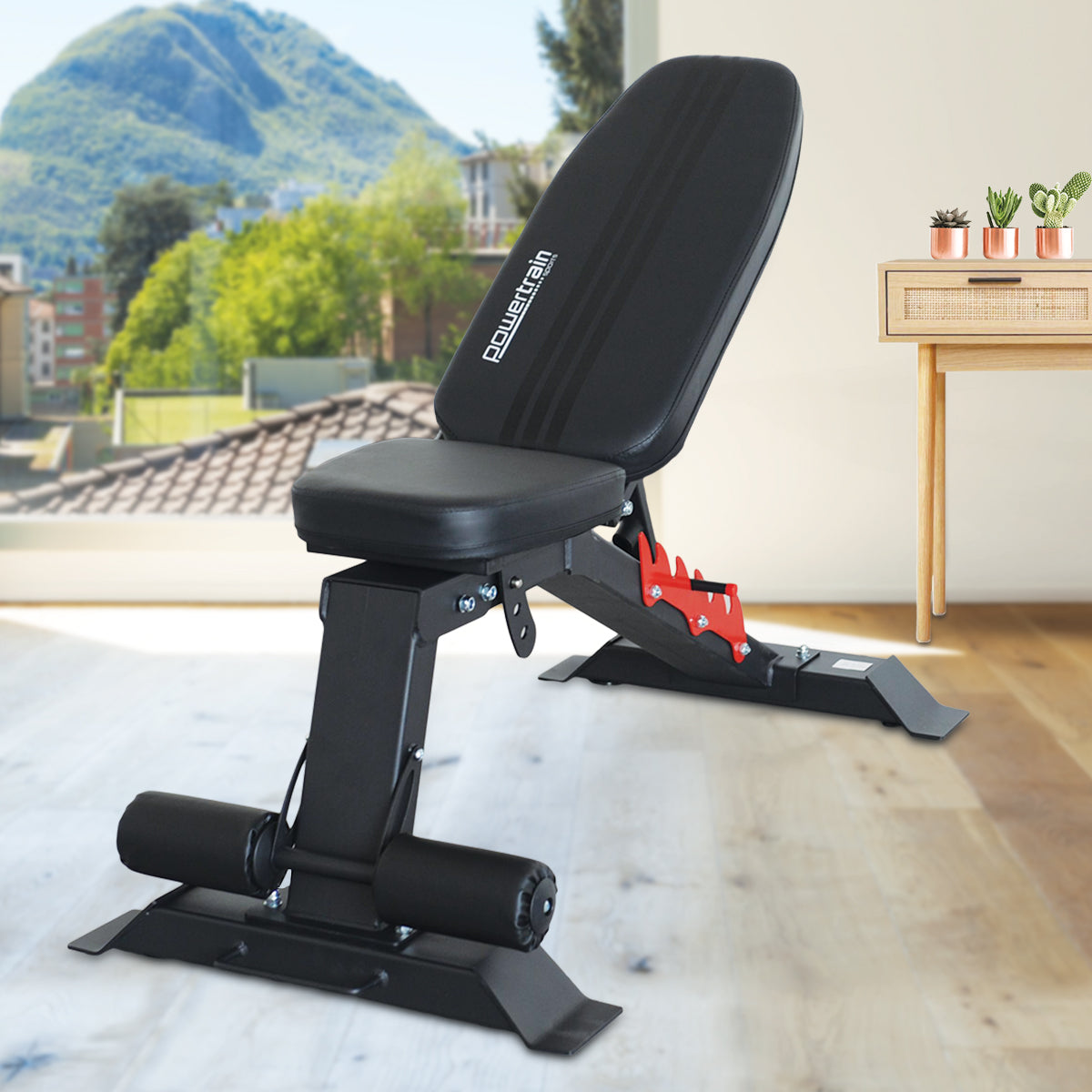 NNEDPE Home Gym Adjustable Dumbbell Bench